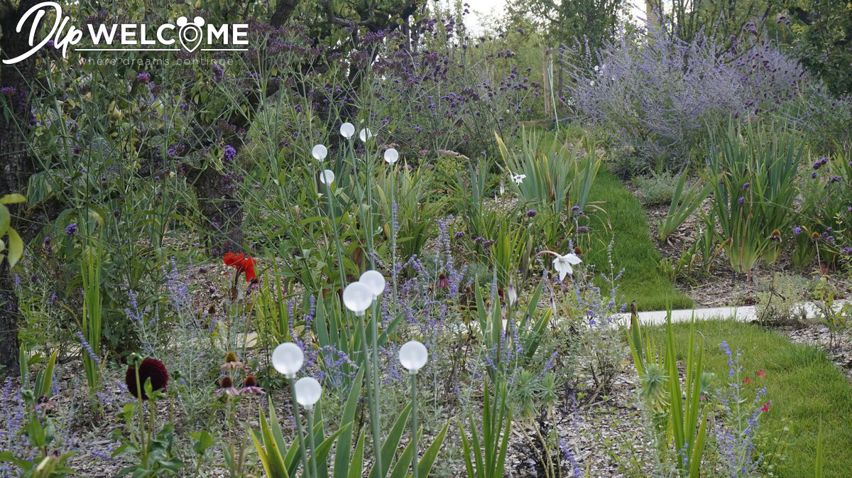 , Disneyland Paris Opens Villages Nature