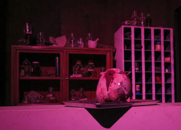 , Hypnotic Fright Fest at Six Flags Discovery Kingdom