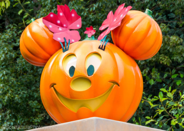 , Disneyland Photo Update – Let’s Get This Pumpkin Started!