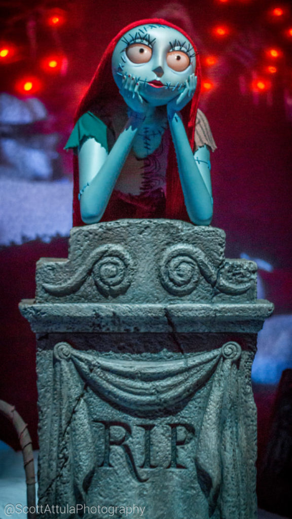 , Disneyland Photo Update – Let’s Get This Pumpkin Started!