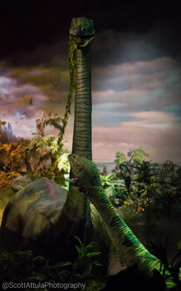 , Disneyland Photo Update – It’s an October Thing