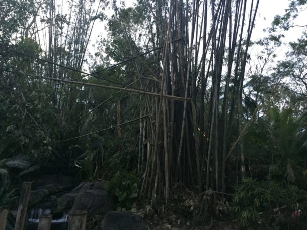 , A Very Blustery Day: Irma’s Long-Term Impact on WDW