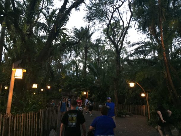 , A Very Blustery Day: Irma’s Long-Term Impact on WDW