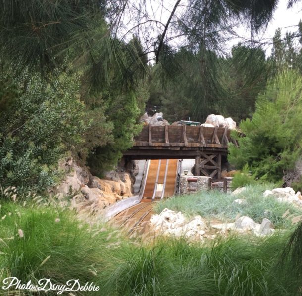 , DCA Photo Update – Cars Land Haul-O-Ween