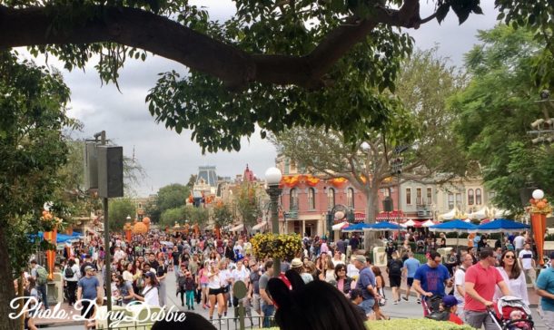, Disneyland Photo Update – Let’s Get This Pumpkin Started!