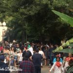 , Disneyland Photo Update – Let’s Get This Pumpkin Started!