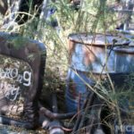 Photo_3867
