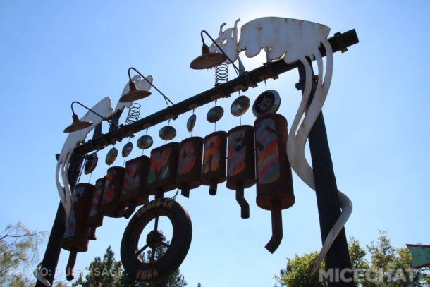, Disneyland Resort Update – Star Wars, Halloween, and Talking Mickey