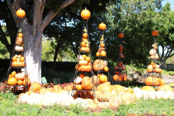 , Disneyland Resort Update – Star Wars, Halloween, and Talking Mickey
