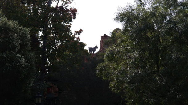 , Disneyland Photo Update: Halloween Crowd Crush & Splash in the Dark