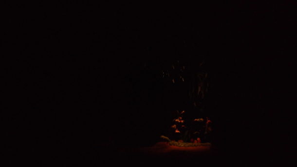 , Disneyland Photo Update: Halloween Crowd Crush & Splash in the Dark