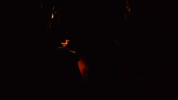 , Disneyland Photo Update: Halloween Crowd Crush & Splash in the Dark