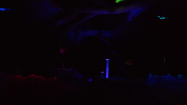 , Disneyland Photo Update: Halloween Crowd Crush & Splash in the Dark