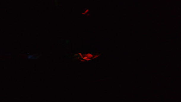 , Disneyland Photo Update: Halloween Crowd Crush & Splash in the Dark