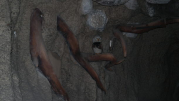 , Disneyland Photo Update: Halloween Crowd Crush & Splash in the Dark