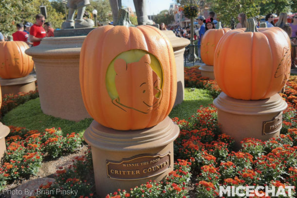 , Disneyland Photo Update – Rainbow Power