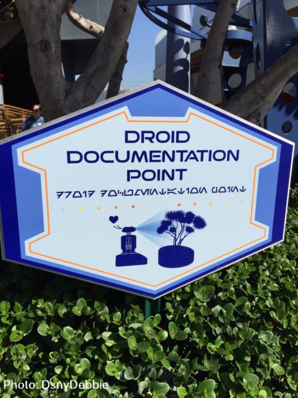, Disneyland Photo Update – Rainbow Power