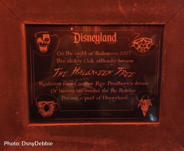 , When Two Holidays Collide – Disneyland Photo and News Update