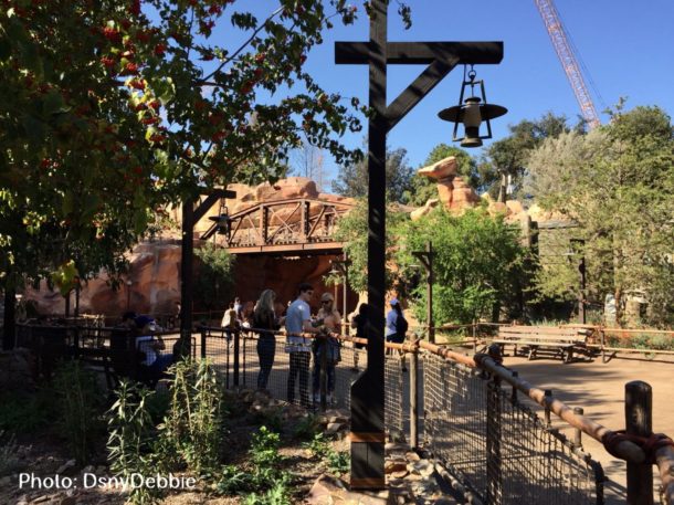 , When Two Holidays Collide –  Disneyland Photo and News Update