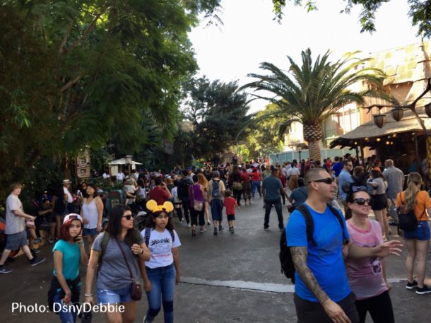 , When Two Holidays Collide –  Disneyland Photo and News Update