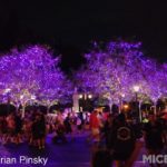 BuenaVistaNightPurplelightsMC-Update-013