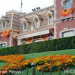 Disneyland-BrianMC-Update-02