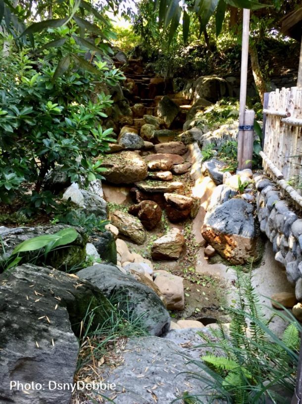 , Disneyland Photo Update – Rainbow Power