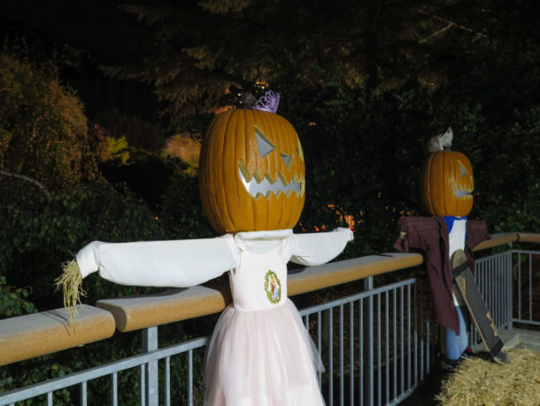 , Fall Events Illuminate the Night at Gilroy Gardens