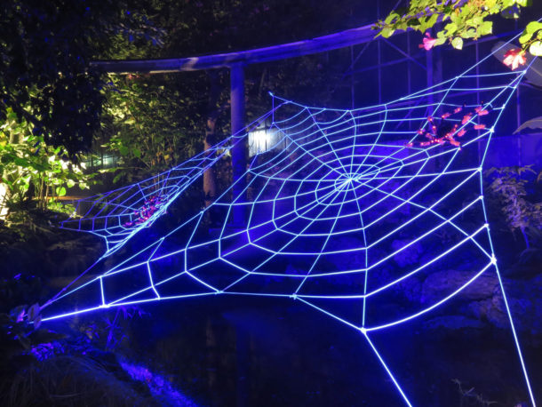 , Fall Events Illuminate the Night at Gilroy Gardens