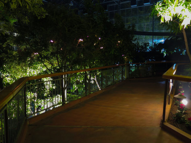 , Fall Events Illuminate the Night at Gilroy Gardens