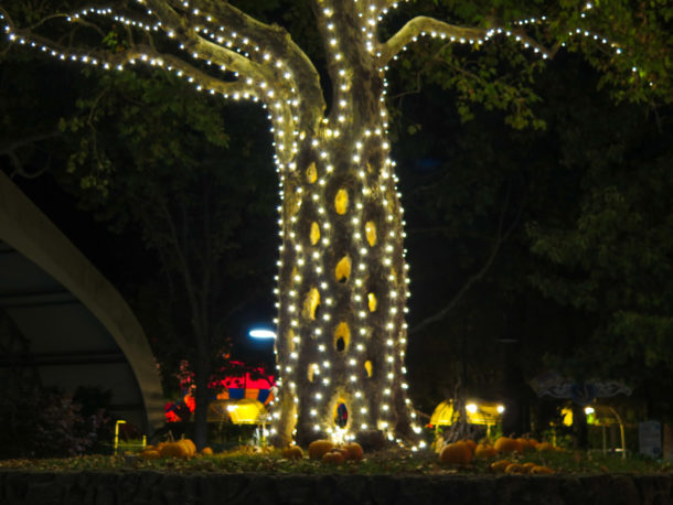 , Fall Events Illuminate the Night at Gilroy Gardens