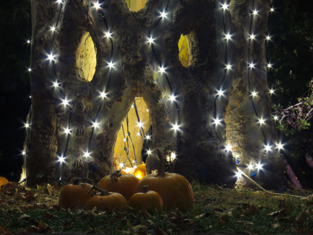 , Fall Events Illuminate the Night at Gilroy Gardens