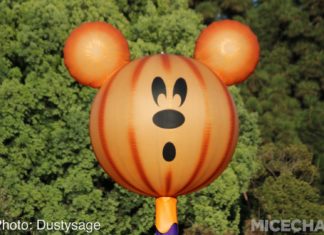 Disneyland Photo Update – Rainbow Power