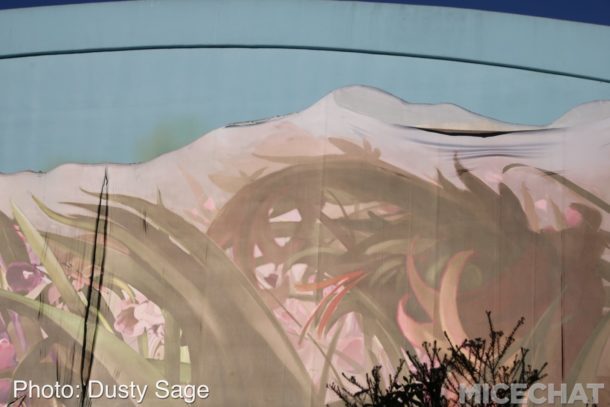 , Disneyland Resort Update – RunDisney Falters & Star Wars Everywhere