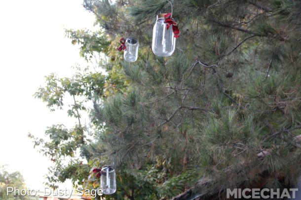 , Disneyland Resort Update – RunDisney Falters & Star Wars Everywhere