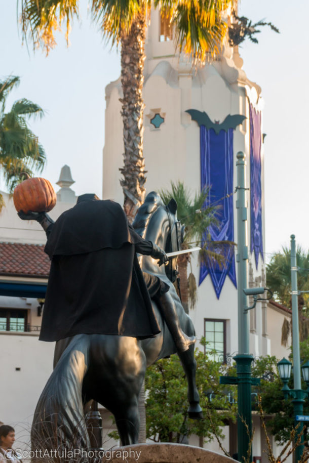 , DCA Photo Update &#8211; Cuckoo for Coco