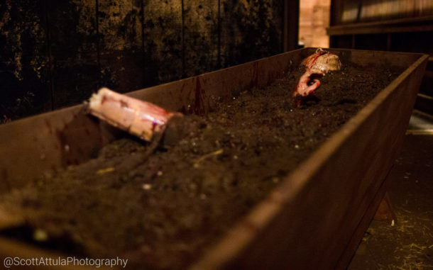 , MiceChat Knott’s Scary Farm Recap from the MiceChat Meetup