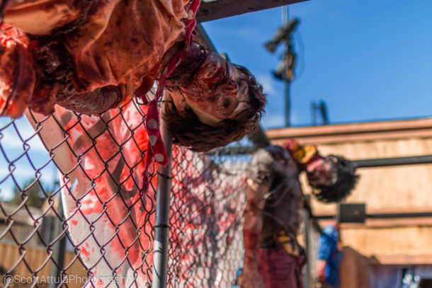 , MiceChat Knott’s Scary Farm Recap from the MiceChat Meetup