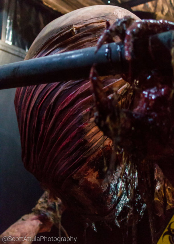 , MiceChat Knott’s Scary Farm Recap from the MiceChat Meetup