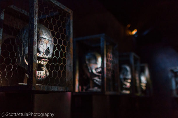 , MiceChat Knott’s Scary Farm Recap from the MiceChat Meetup
