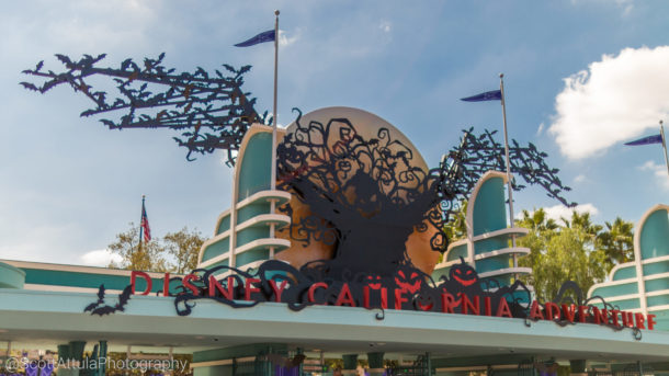 , DCA Photo Update &#8211; Cuckoo for Coco