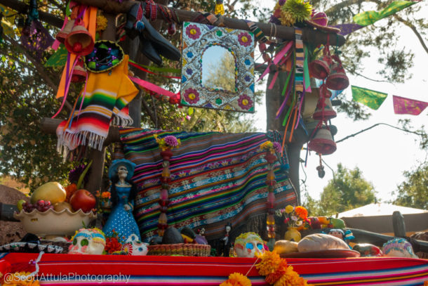 , Disneyland Update – Tomorrow Is Another Day