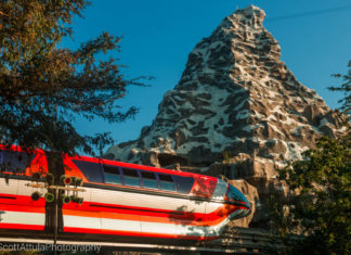 Disneyland Update – Tomorrow Is Another Day
