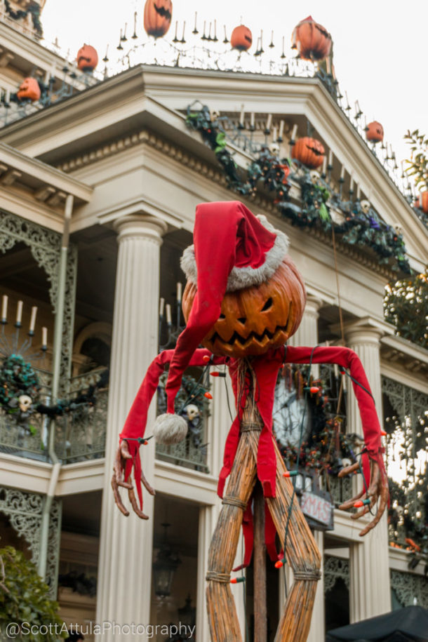 , Disneyland Update – Tomorrow Is Another Day