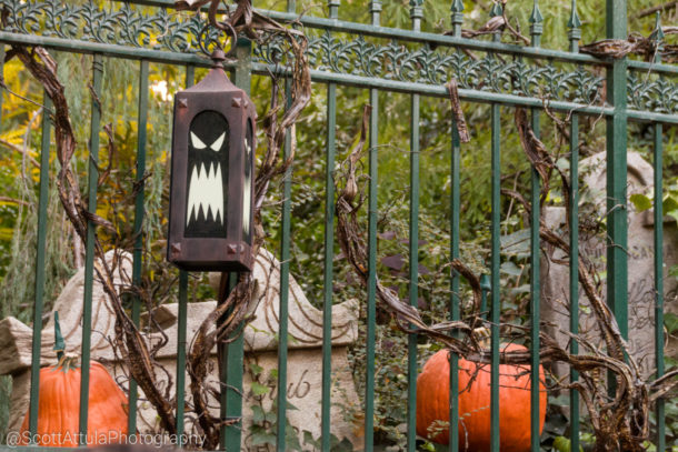 , Disneyland Update – Tomorrow Is Another Day