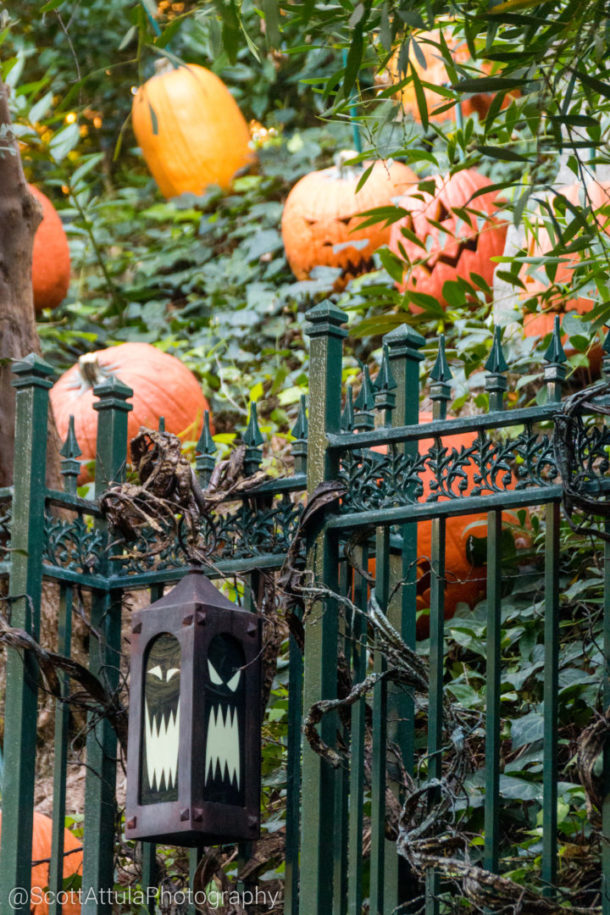 , Disneyland Update – Tomorrow Is Another Day
