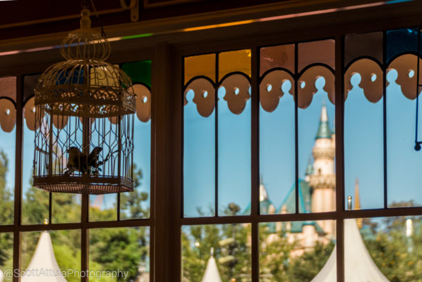, Disneyland Photo Update: Halloween Crowd Crush & Splash in the Dark