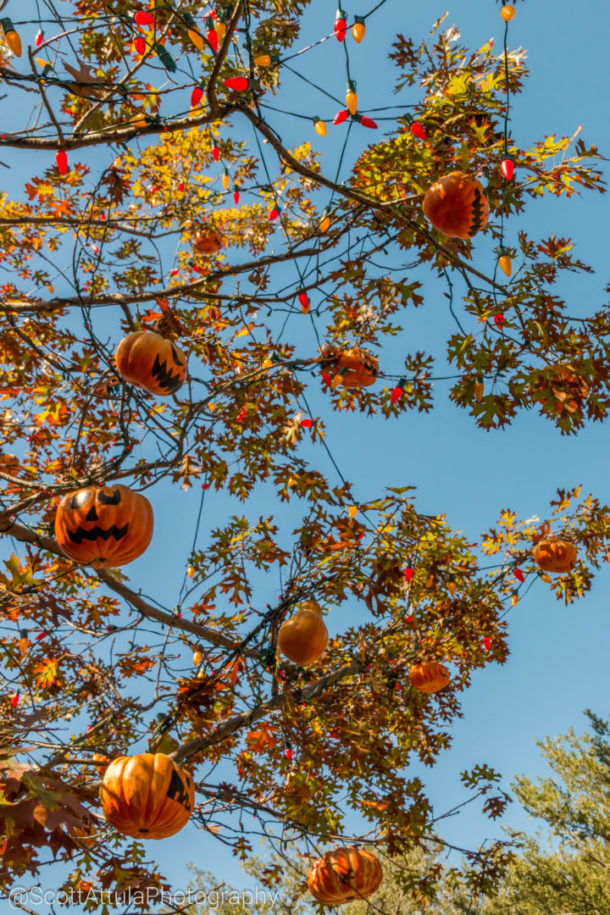 , Disneyland Photo Update: Halloween Crowd Crush & Splash in the Dark