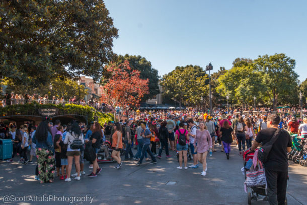 , Disneyland Photo Update: Halloween Crowd Crush & Splash in the Dark
