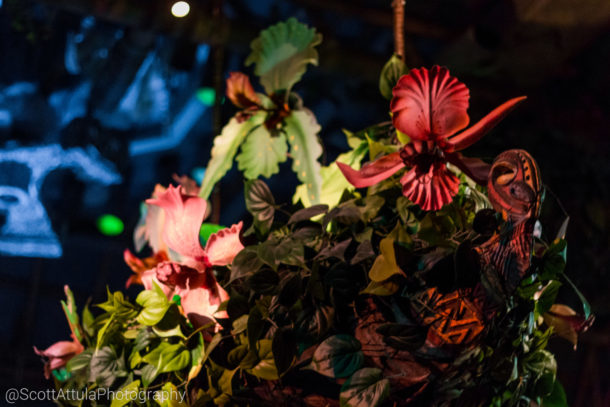 , Disneyland Photo Update: Halloween Crowd Crush & Splash in the Dark